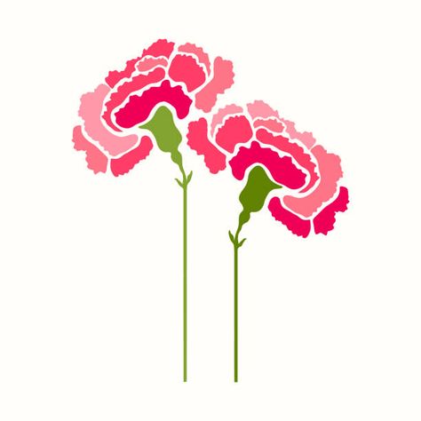 6,295 Carnation Flower Illustrations & Clip Art - iStock Carnation Illustration, Carnation Plants, Carnation Flowers, Garden Mural, Happy Mother's Day Greetings, Flower Illustrations, Red Carnation, Flower Stock, Flowers Illustration