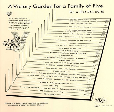 The Victory Garden - Pt. 4 - Planning The Plot | Willow Ridge Garden Center & Landscaping Victory Garden Layout, Victory Garden Plans, Plot Planning, Fall Crops, Old Illustration, Plot Plan, Sentence Examples, Head Of Lettuce, Corn Plant