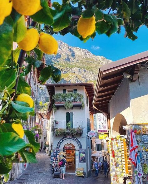 Europe Escapes | Italy | France | Greece | UK | best of Europe on Instagram: "Hands up if you’ll be heading to Lake Garda this year? Here’s a selection of amazing spots to look out for on your trip!! Make sure you save for future reference!! ❤️💚🇮🇹👌🏻 📷 Beautiful set by:  1. @pinkines Limone sul Garda 2. @the__mirk Sirmione 3. @goingmattos Isola del Garda 4. @emmebi420 Riva del Garda 5. @juliananuladesign Gargnano 6. @pinkines Valleggio sul Mincio 7. @maria.santiago18 Gardone Riviera 8. @michaelpezzaioli Punta San Vigilio  9. @matteoorighi Tremosine 10. @matteoorighi Torbole  ≕≔≕≔≕≔≕≔≕≔≕≔≕≔≕≔≕≔≕≔ 📍Location: #lakegarda #italy  ≕≔≕≔≕≔≕≔≕≔≕≔≕≔≕≔≕≔≕≔  #italia #hellofrom #italianstyle  #ig_europe #ig_europa #italianfood #ig_worldclub #huffpostgram #cnntravel #ig_italia #italian_trips #thep Italy Tourism, Lake Garda Italy, Garda Italy, Italy Map, Italian Beauty, Italy Tours, Italy Travel Guide, Lake Garda, Italy Photo