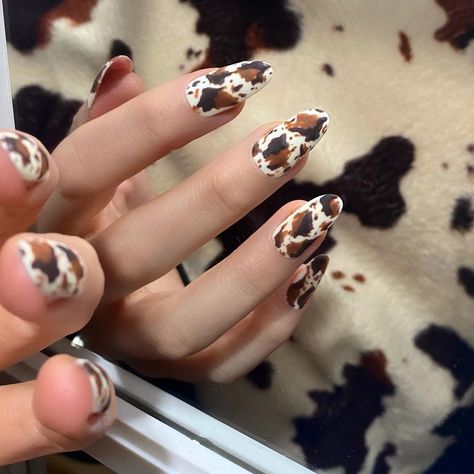 Black And Brown Cow Print Nails, Brown Cow Print Nail Designs, Brown Cow Nails, Brown Cow Print Nails, Cowgirl Nails, Rodeo Nails, Cow Print Nails, Cowboy Nails, Western Nails