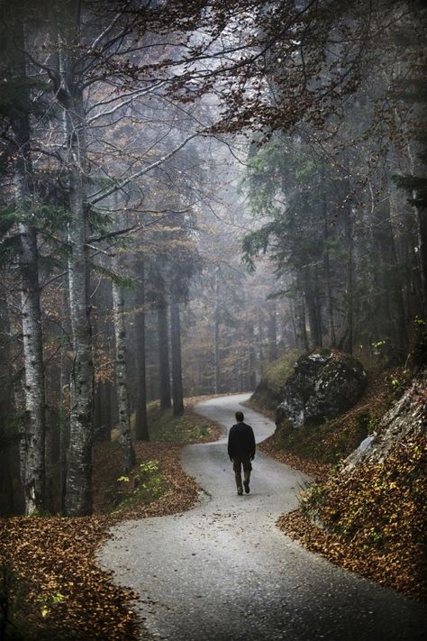 Path In The Woods, Steve Mccurry, Winding Road, Back Road, Walk In The Woods, In The Woods, Volcano, The Great Outdoors, Places To Go