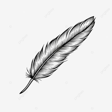 feather of journalism line drawing Feather Png, Feather Outline, Ad Drawing, Wing Drawing, Feather Drawing, Feather Pen, Ig Highlights, Feather Art, Transparent Image