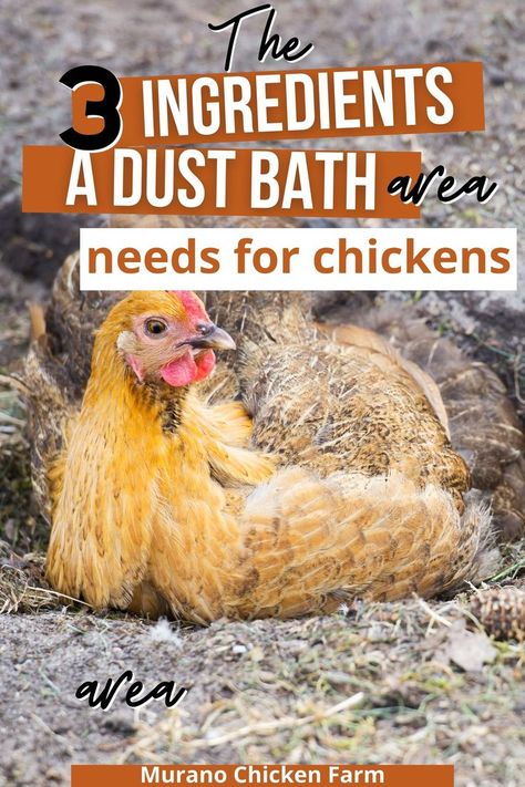 create the ultimate dust bath for chickens Chicken Dirt Bath, Diy Dust Bath, Chicken Dust Bath Ideas, Chicken Dust Bath, Dust Bath For Chickens, Chicken Bath, Herbs For Chickens, Chicken Facts, Raising Chicken