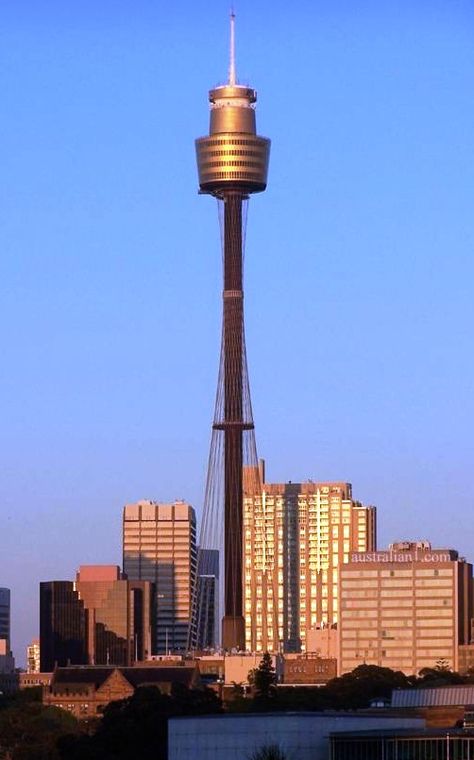 Sydney Tower, Sydney, Australia #yankinaustralia #australia Sydney Tower, برج العرب, Sydney Hotel, Sydney City, Beautiful Places In The World, Canberra, Australia Travel, Tasmania, Sydney Australia