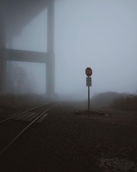 Spooky Film Photography, Creepy Vibes Aesthetic, Gloomy Photography, Mystery Photography, Movie Moodboard, Eerie Photography, Horror Photography, Dark Cool, Dark Art Photography