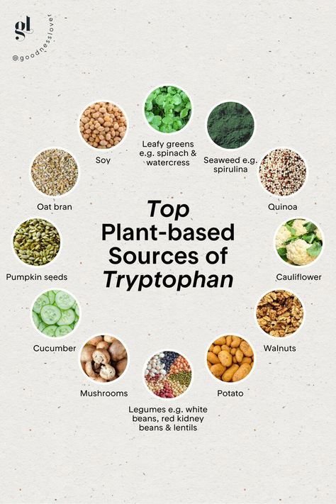 #MyHealthNutrition #WeightLossDiet Tryptophan Foods, Serotonin Foods, Food Benefits, Red Kidney Bean, Holistic Nutritionist, Vegan Nutrition, Food Motivation, Inflammatory Foods, Healthy Food Motivation