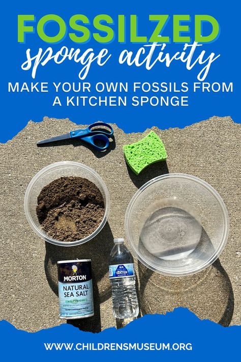 Make Your Own Fossils, Diy Dino Fossils, Fossil Record Activities, Dinosaur Extinction Activities, Fossil Science Experiment, Fossil Preschool Activities, Dinosaur Experiments For Kids, Paleontologist Activities For Kids, Fossils Activities For Kids