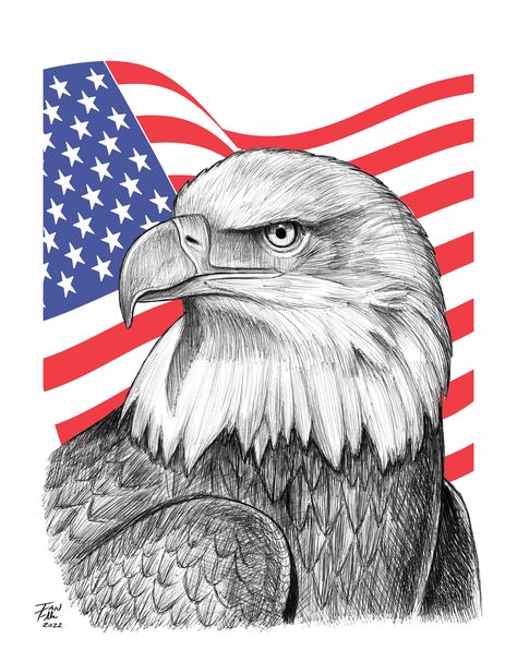 A pen and ink drawing of a bald eagle I created. Eagle Drawings Easy, Eagle Drawing Sketches, American Eagle Drawing, Bald Eagle Sketch, Patriotic Drawings, Bald Eagle Drawing, Patriotic Paintings, Eagle Drawing Easy, Practice Tattoos