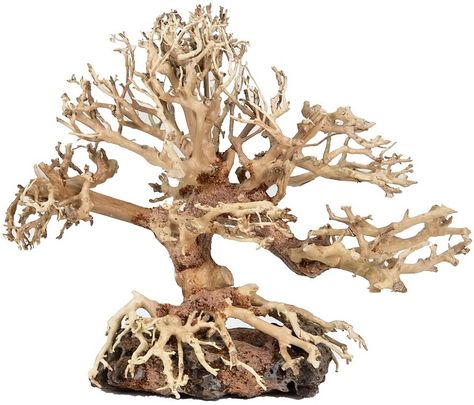 BONSAI WOOD 15X12CM | Hollywood Fish Farm Online Forest Aquascape, Driftwood For Sale, Boxwood Bush, Schooling Fish, Small Aquarium, Aquatic Environment, Diy Aquarium, Nano Aquarium, Floating Plants