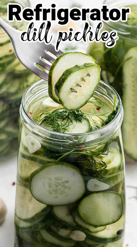 Easy to make Refrigerator Dill Pickles. Crispy and fresh pickles, these are so easy to make because there's no canning required! Canning Refrigerator Pickles, Home Made Dill Pickles, How To Can Pickles, Refridge Pickles Dill, Refrigerated Pickles, Fresh Pickles, Crispy Dill Pickles, Easy Refrigerator Pickles, Pickles Homemade