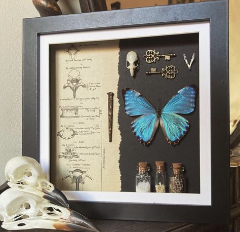 Living Room Witchy, Bedroom Witchy, Apartment Dark, Deer Skull Art, Oddities Decor, Taxidermy Decor, Halloween Shadow Box, Witchy Home, Witchy Home Decor