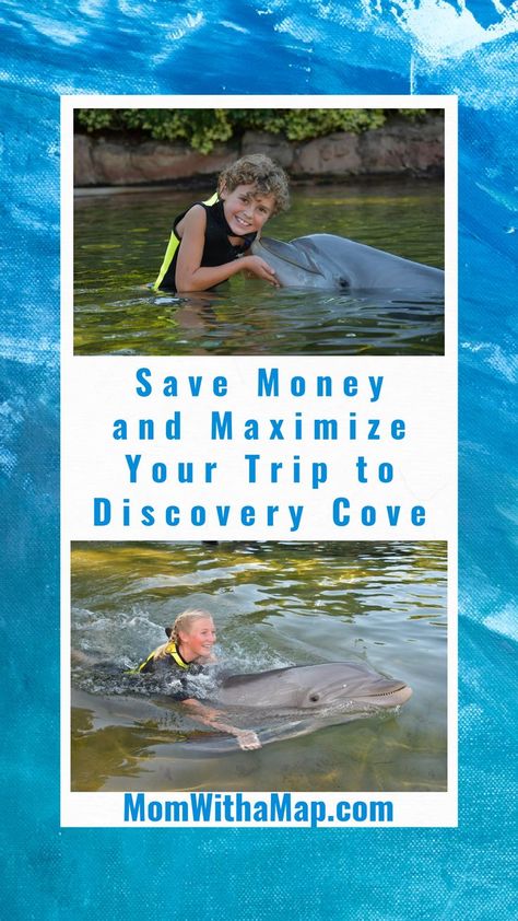 Discovery Cove Orlando, Swimming With Dolphins, Tips For Saving Money, Day At The Park, Thailand Beaches, All Inclusive Resort, Orlando Resorts, You Dream, All Inclusive Resorts