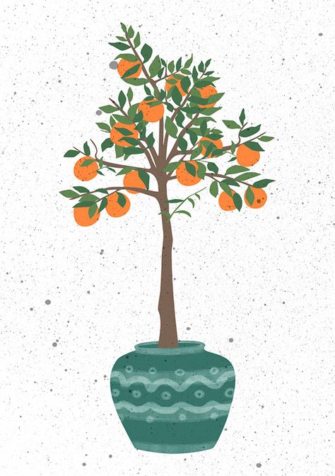 Orange Tree Illustration, Fruit Tree Illustration, Fruit Tree Painting, Orange Tree Art, Orange Tree Painting, Citrus Painting, Citrus Illustration, Tree Painting Easy, Pot Drawing