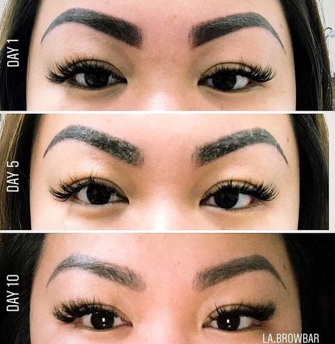 Powder Brows Healing Stages, Ombre Eyebrows Healing Process, Microshading Eyebrows Healing Process, Ombre Powder Brows Healing Process, Ombre Brows Healing Process, Powder Brows Healing Process, Tattoo Scabbing, Microblading Healing Process, Ombre Powder Brows