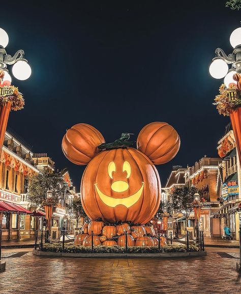 Hallowen Disney Fall Aesthetic, Disneyland Pumpkin, Disneyland October, Halloween At Disneyland, Halloween Pfps, Richard Gilmore, Halloween Decorating Ideas, Disney World Halloween, Halloween Wallpaper Iphone Backgrounds