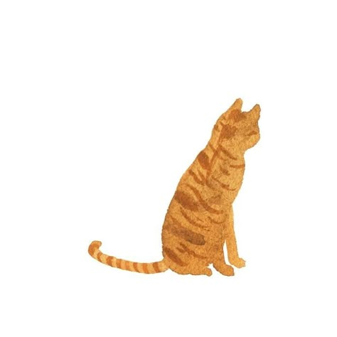 Ginger Cat Doodle, Orange Cat Aesthetic Drawing, Orange Tabby Tattoo, Orange Cat Poster, Orange Tabby Cat Tattoo, Orange Cat Painting Easy, Orange Cat Doodle, Orange Cat Tattoo Simple, Orange Aesthetic Drawing