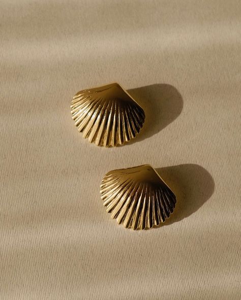 Say hello to Selina Shell Earring, delicately crafted and plated with luxurious 24K gold. 🤎 Inspired by the beauty of the sea, this earring features a stunning shell design that brings a touch of coastal charm to any ensemble. ✨ Gold Shell Earrings, Jewellery Aesthetic, Diy Rock Art, Shell Design, Coastal Charm, Shell Earrings, Rock Art, Glow Up?, Say Hello