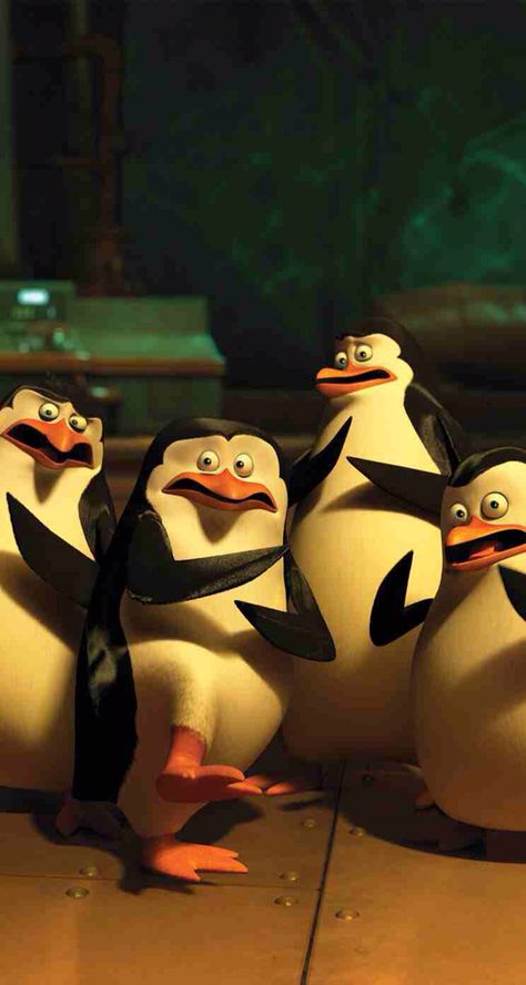 Penguins of Madagascar Madagascar Penguins, Penguin Wallpaper, Penguin Pictures, Funny Lockscreen, Penguins Of Madagascar, The Penguins, Champions Trophy, Cool Backgrounds Wallpapers, Cartoon Character Pictures