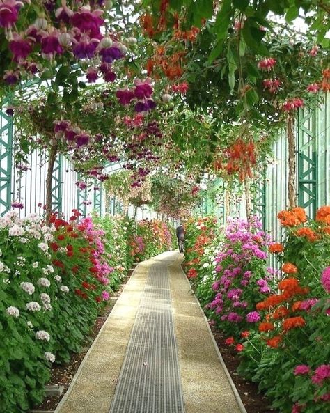 Moderne Have, Video Tiktok, Most Beautiful Gardens, Beautiful Flowers Garden, Photography Lifestyle, Beautiful Landscape Wallpaper, Gorgeous Gardens, Beautiful Nature Wallpaper, Floral Garden