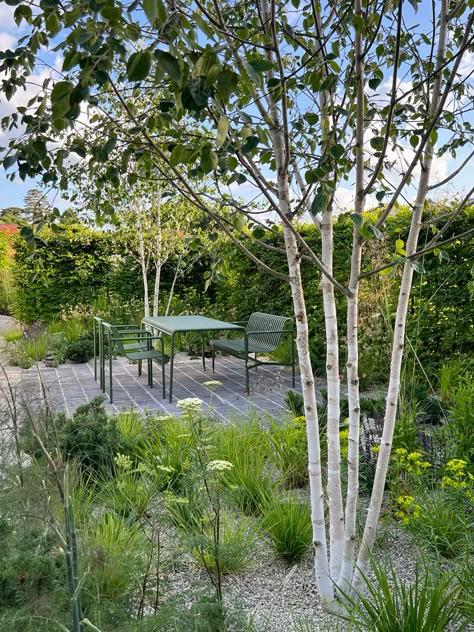 Cambridgeshire Garden | A modern English country garden Modern English Country, Garden Site, Garden Seat, Garden Inspo, Gravel Garden, English Country Gardens, Modern English, Family Garden, Country Garden