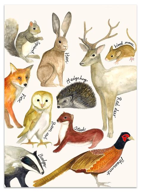 Educational Painting, Woodland Adventure, Countryside Paintings, Adventure Print, Animal Poster, Childrens Wall Art, Kids Nursery, Painting Poster, Animal Alphabet