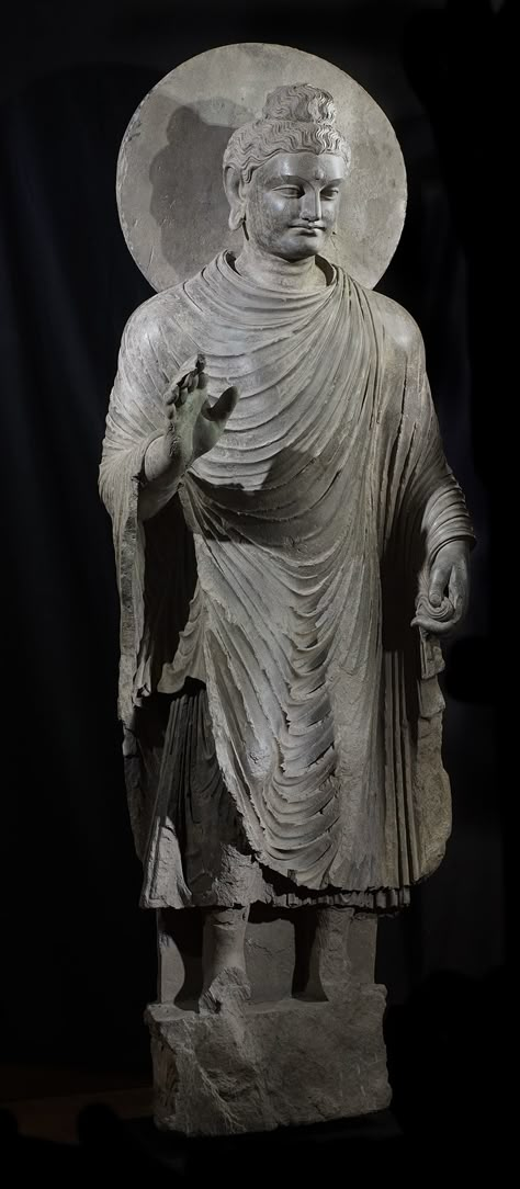 Large museum quality standing image of Buddha 3rd century 180cm. Equiries regarding this image please contact info@gandhara.com.au #Gandhara #Gandharan #buddha #shist #kushan Gandhara Buddha, Gandhara Art, Standing Buddha Statue, Pakistan Art, Asian Sculptures, Standing Buddha, Buddha Figures, Gautama Buddha, Buddha Sculpture