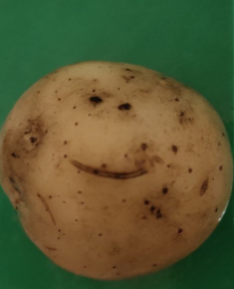 Real potato can smile:) Potatoes Cute, Happy Potato, Just For Laughs Videos, Food Food, Hair Inspo, Potato, Canning, Hair, Quick Saves