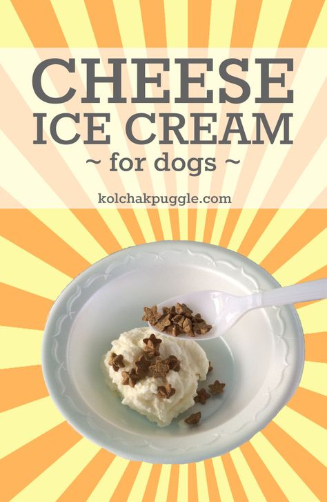 My dogs are wild over this one. Cheese Dog Ice Cream Recipe Diy Frozen Dog Treats, 3 Ingredient Dog Treats, Dog Ice Cream Recipe, Puppy Ice Cream, Dog Cookie Recipes, Bacon Dog, Dog Treat Recipe, Diy Cheese, Frozen Dog Treats