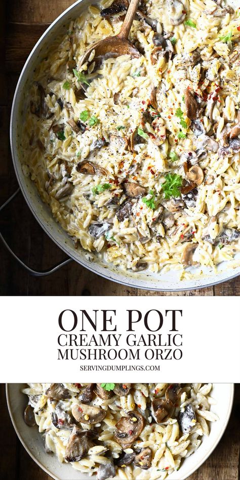 One-Pot Creamy Garlic Mushroom Orzo Creamy Mushroom Orzo, Creamy Spinach And Mushroom Orzo, Orzo Mushroom Recipes, Orzo Mushroom, Mushroom Orzo Recipes, Mushroom Orzo, Orzo Dishes, Creamy Orzo, Creamy Garlic Mushrooms