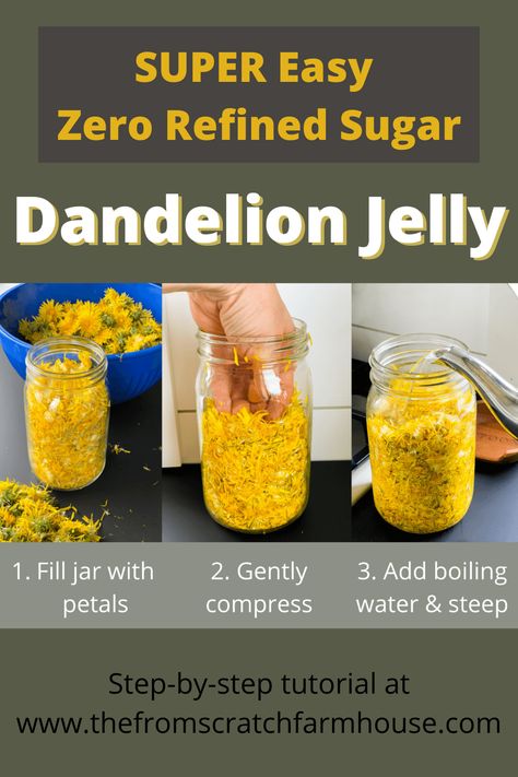 Dandelion Jelly Recipe Without Pectin, How To Make Dandelion Jelly, Dandelion Jelly Recipe No Pectin, Dandelion Recipes Jelly, What To Make With Dandelions, Honey Suckle Jelly Recipe Easy, Things To Do With Dandelions, Dandelion Jam Recipe, Dandelion Jam