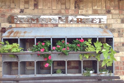 Galvanized Chicken Nesting Boxes, Nesting Boxes Decor, Chicken Nest, Nest Ideas, Coop Decor, Chicken Coop Decor, Chicken Nesting Boxes, Porch Flowers, Nest Box