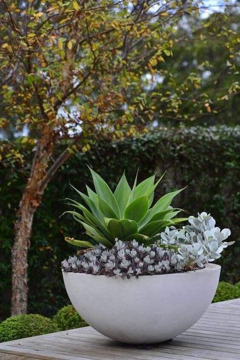 Patio Planter Ideas Plant Pots, Extra Large Outdoor Planters, Landscape Design Diy, Pool Planters, Planter Box Designs, Patio Flower Pots, Potted Plants Patio, Large Outdoor Planters, Modern Courtyard