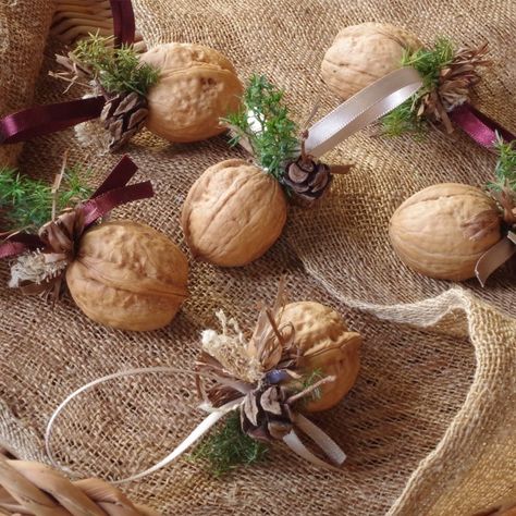 Walnut Decoration Christmas, Christmas Nuts Decoration, Walnut Christmas Decorations, Walnut Decoration, Walnut Crafts, Walnut Decor, Recycled Christmas Decorations, Christmas Nuts, Alternative Christmas Tree