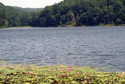 Lake Hope State Park, Zaleski, Ohio Lake Hope Ohio, Hocking Hills, New Earth, Natural Resources, Beautiful Scenery, Nature Lovers, West Virginia, The Valley, Hiking Trails