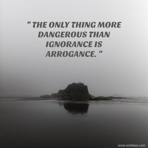 Quotes About Arrogant People, Instigator Quotes, Arrogant People Quotes, Callum Nova, Arrogance Quotes, Arrogant People, Doctor Quotes, Marvel Quotes, Funny Inspirational Quotes