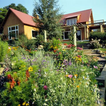 Mountain Gardening, Colorado Landscaping, Easy Garden Ideas Landscaping, Colorado Gardening, Colorado Garden, Mountain Garden, Space Beauty, Small Front Yard Landscaping, Small Front Yard