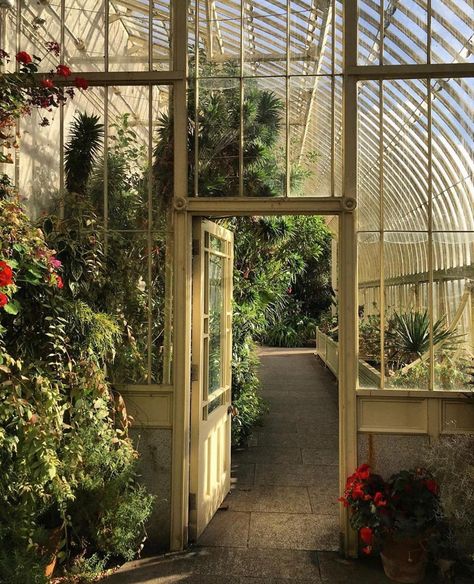 Small Garden Greenhouse, Garden Aesthetic, Garden Greenhouse, Botanic Gardens, Inspiring Spaces, Light Academia, Tiny House Design, Be Better, Botanical Garden