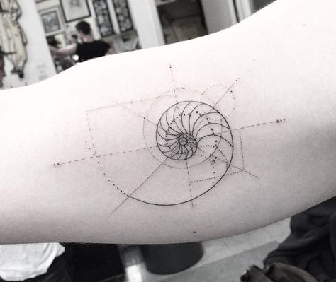 golden ratio                                                                                                                                                                                 More Sacred Geometric Tattoo, Scientific Tattoo, Golden Ratio Tattoo, Acab Tattoo, Small Geometric Tattoo, Fibonacci Tattoo, Spiral Tattoos, Glyph Tattoo, Sketch Style Tattoos