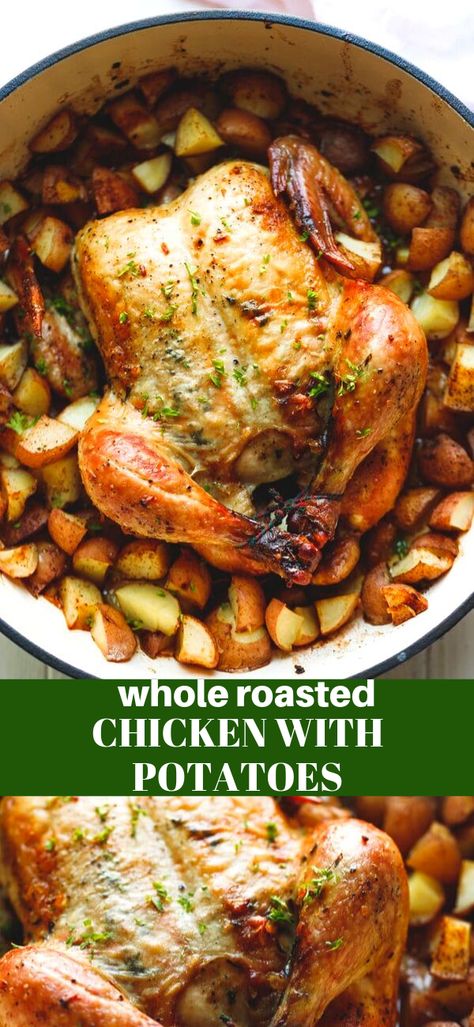 Roasted Chicken Over Potatoes, Oven Roasted Whole Chicken With Potatoes And Carrots, Dinner Ideas Whole Chicken, While Roasted Chicken Recipes, Whole Chicken In The Oven With Potatoes, Oven Roasted Whole Chicken And Potatoes, Whole Chicken Baked Recipes, Roasted Chicken In Dutch Oven Recipe, Roast Chicken With Potatoes And Carrots