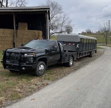 Lifted F350 Dually, Dodge Trucks Lifted, Ranch Truck, Cattle Trailers, Custom Dually Flatbed Truck Beds, Livestock Trailers, F350 Dually Flatbed, Ram 3500 Dually Flatbed, Ranch Hand