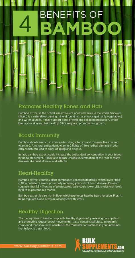 Bamboo Benefits Bamboo Benefits, Bamboo Species, Popular House Plants, Lower Ldl Cholesterol, Eastern Medicine, Bamboo Extract, Relieve Constipation, Healing Plants, Get Stronger