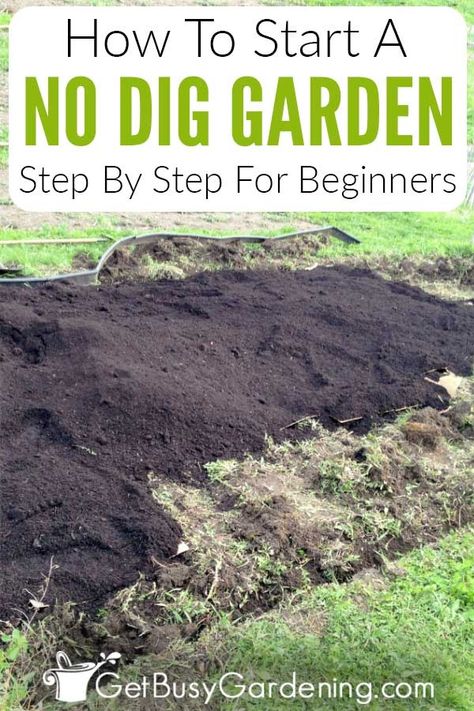 If you are tired of damaging your back with the endless digging a traditional plot requires, try no dig gardening. Learn all about how to create a no till garden bed with these detailed step by step instructions, including troubleshooting on getting rid of really persistent weeds. Find out the benefits of this easy method of no dig gardening, and how it can help you have healthier plants with fewer weeds, bugs, and disease in the long run – all without tilling or digging! No Dig Garden, Dig Gardens, Organic Mulch, Garden Steps, Gardening 101, Starting A Garden, Veg Garden, Sustainable Garden, Garden Edging