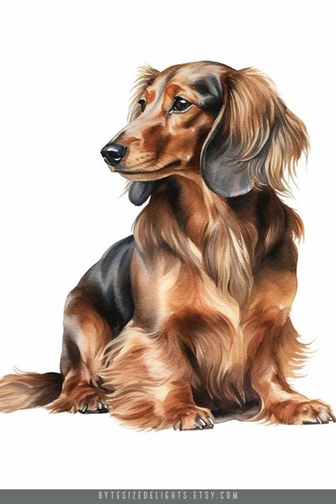 Whimsical Wildlife: Watercolour Animal Clipart Bonanza Dachshund Watercolor, Dachshund Painting, Watercolour Clipart, Dogs Tattoo, Dog Design Art, Dachshund Illustration, Pet Paintings, Animal Caricature, Puppy Portraits