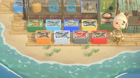 Acnh Citycore, Acnh Beach, Different Fish, Acnh Designs, Island Theme, Acnh Ideas, Acnh Inspo, New Animal Crossing, Fish Market