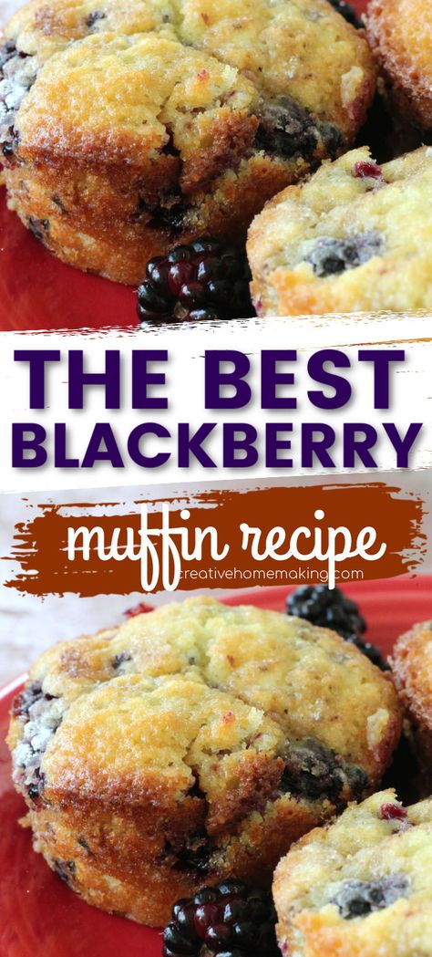 Blackberry Muffins Easy, Blackberry Recipes Easy, Blackberry Dessert Recipes, Blackberry Muffin Recipe, Blackberry Muffins, Blackberry Muffin, Blackberry Dessert, Blackberry Recipes, Berry Muffins