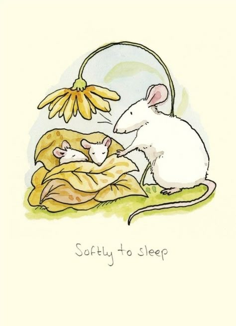 Two Bad Mice, Maus Illustration, Hare Painting, Anita Jeram, Card Gifts, Funny Rats, Mouse Illustration, Picture Gifts, Children's Picture Books