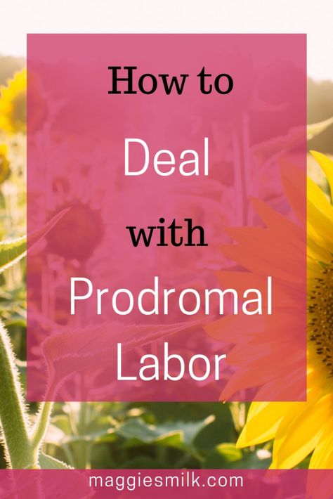 7 Tips for Dealing with Prodromal Labor Prodromal Labor, Labor Tips, Hard Boy, Parents Quotes Funny, Parenting Inspiration, Parenting Videos, Trimesters Of Pregnancy, First Trimester, On My Mind