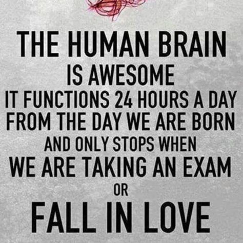 Brain Freeze, Quotes Indonesia, Soul Quotes, Human Brain, Quote Of The Day, Quotes To Live By, Brain, Love Quotes, Motivational Quotes