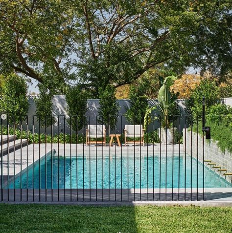 Pool Fencing Landscaping, Lap Pools Backyard, Small Pools Backyard, Patio Railing, Outdoor Pool Area, Metal Ideas, Pool Renovation, Swimming Pool House, Garden Swimming Pool