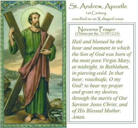 St. Andrew Novena OSV article Scottish Sayings, Andrew The Apostle, Scottish Quotes, Saint Andrew, Novena Prayers, Prayer Changes Things, St Andrew, 1st Century, Faith Prayer